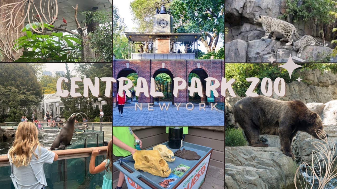 Central Park zoo 🦒, NewYork 🇺🇸, vlog 📸 , sea 🌊 lions 🦁 show , information about wildlife 🫶
