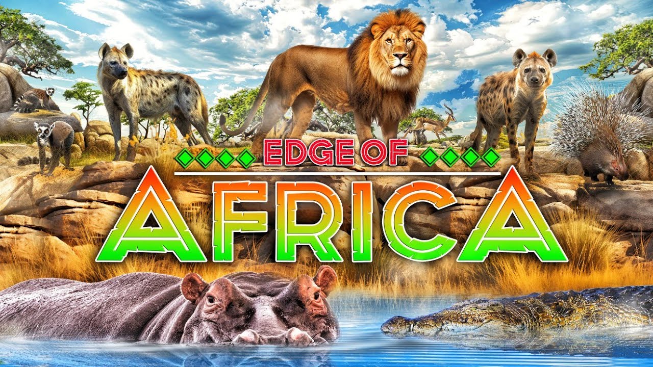 Zoo Tours: Edge of Africa | Busch Gardens Tampa Bay