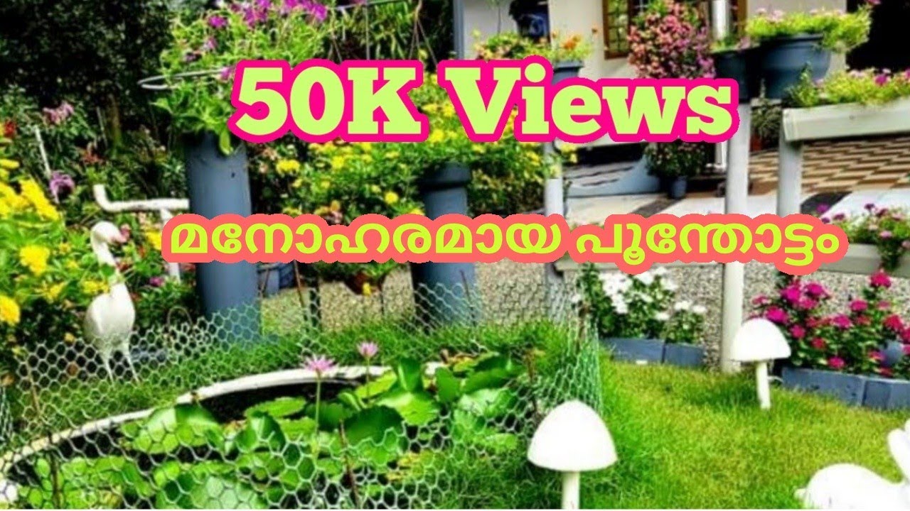 Beautiful flower garden /Hanging plants/Garden ideas/Salu koshy/Malayalam/Indoor plants/Veedu/