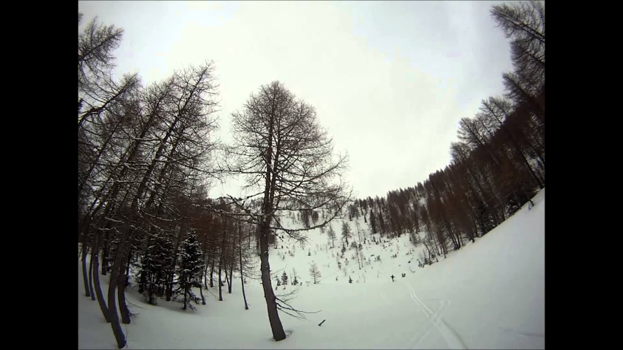 Fravort grande polvere