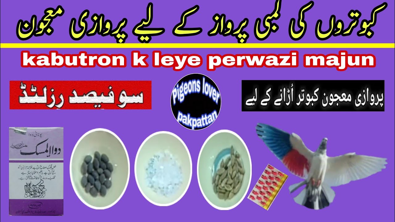 Perwazi Majun!!کبوتر اڑانے کیلۓ پروازی معجون