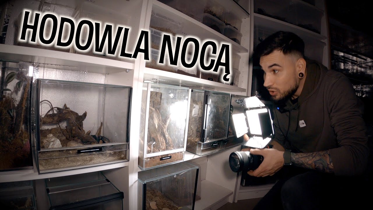 NOCNE KARMIENIE 😱 Co jest aktywne po zmroku??