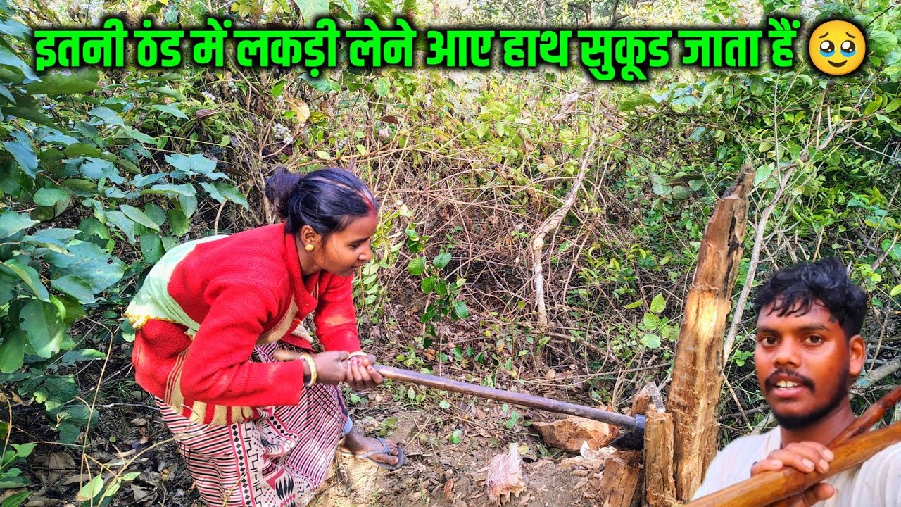 इतनी ठंड में लकड़ी लेने आए हाथ सुकूड जाता हैं 🥹|| sona charu vlogs || #dailyvlog charu beti vlogs 🥹
