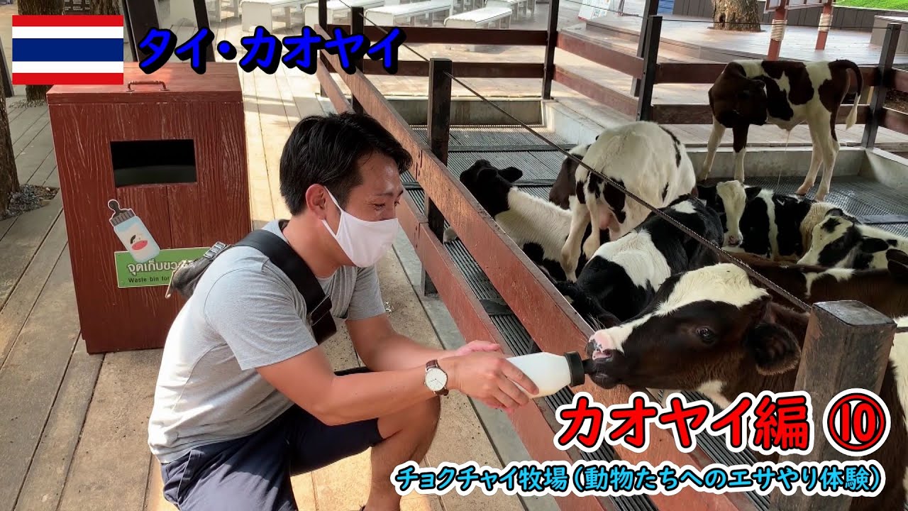 【遠征企画（カオヤイ編）】2回目の遠征企画として「タイの軽井沢」と呼ばれているカオヤイに行ってきました！⑩（#75）