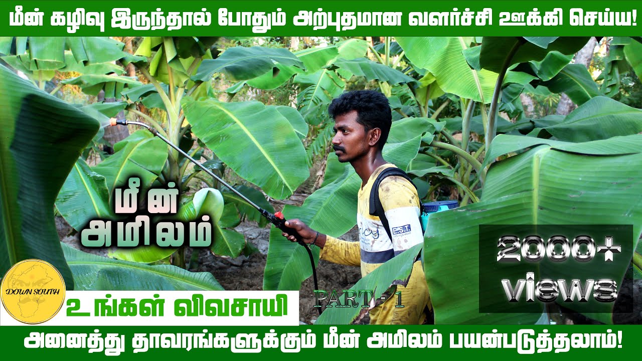 மீன் அமிலம் (Part-1) | பயன்கள் | செயல்முறை | உங்கள் விவசாயி | @downsouth22 | Like | Subscribe