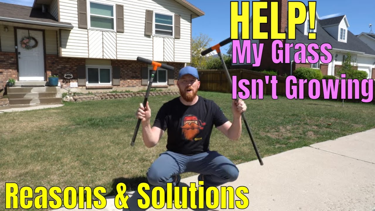 My Grass Isnt Growing!? Answers and Solutions