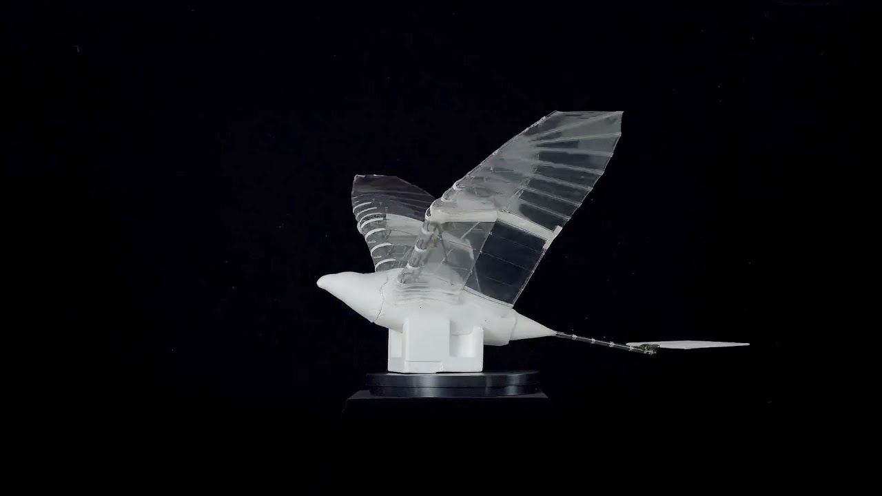 Chinese university sets Guinness record for drone flight duration