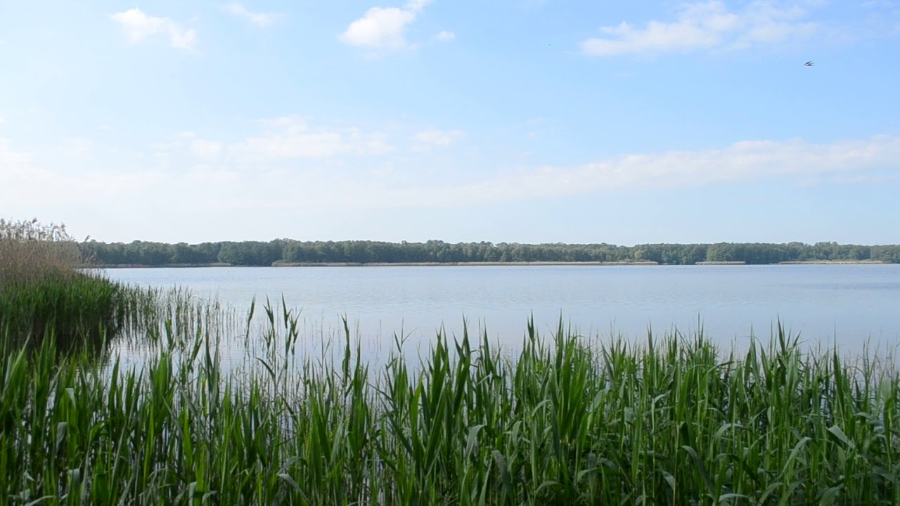 Stary Staw in the morning [2019-05-19] part 3 of 4