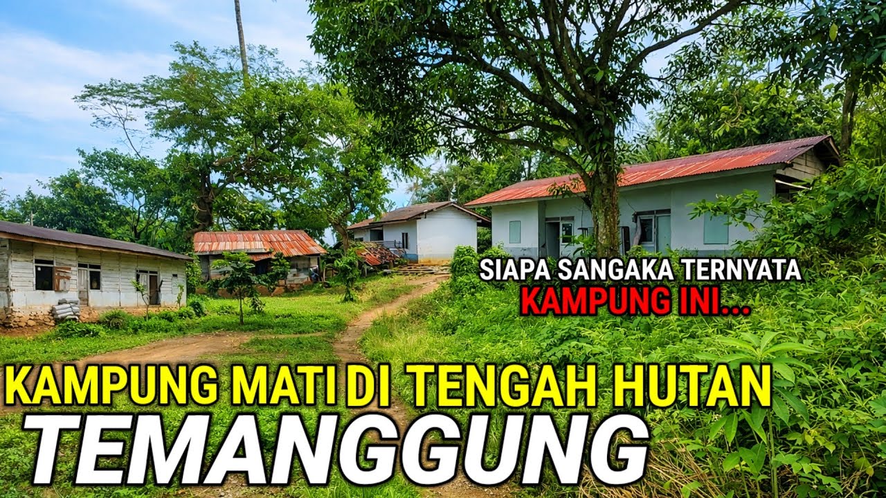 TERNYATA INI KAMPUNG MATI DI TENGAH HUTAN TEMANGGUNG