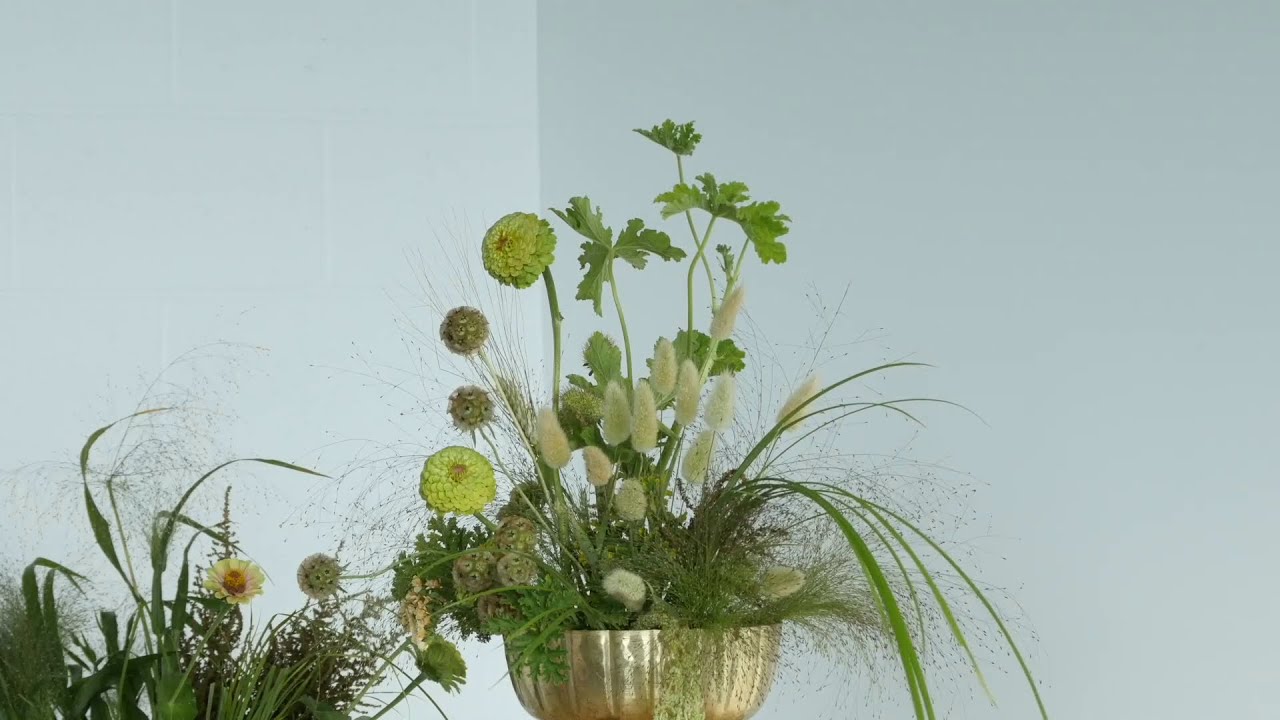 Experimenting with Luminosity in Floral Design