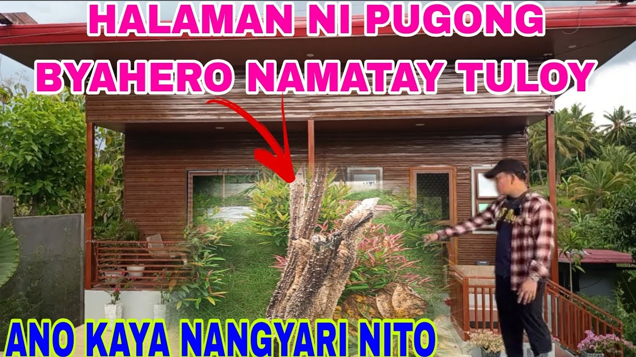 HALAMAN SA PB HOUSE NAMATAY TULOY #pbteamdavao #pugongbyahero #hilights 