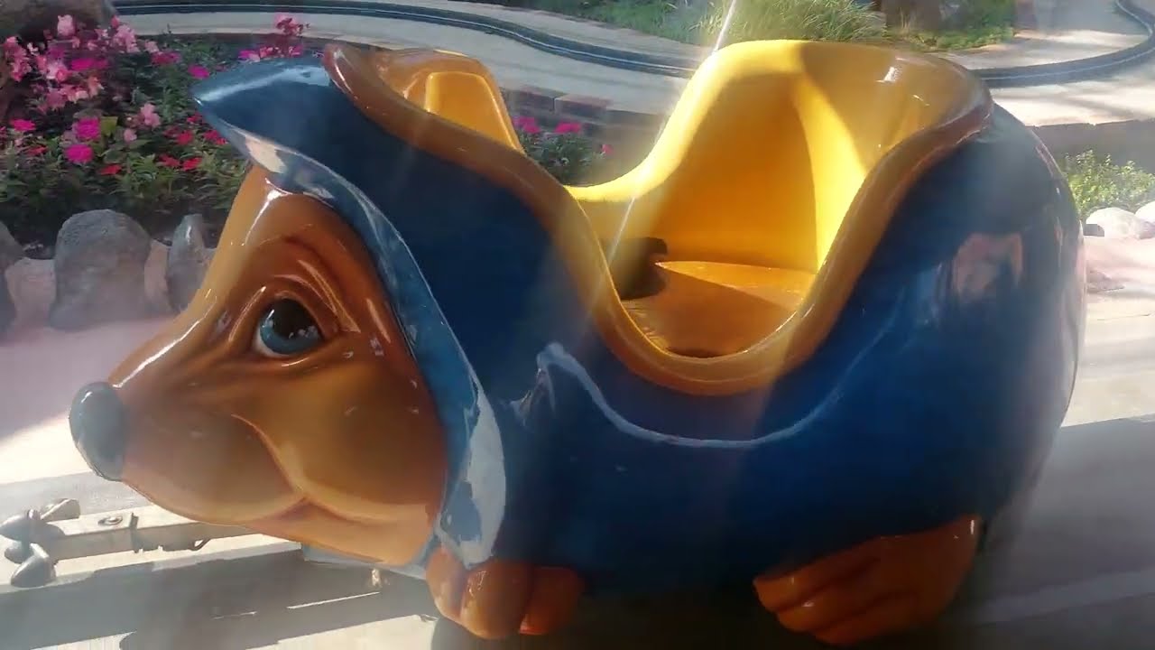 Hedgehog Ride. Off Ride Footage. Hedgehog Land. France.
