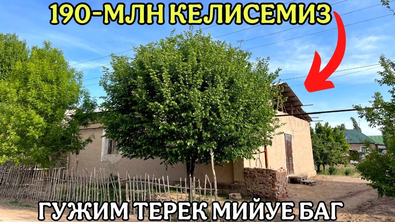 ШЫМБАЙ ХОЖАБЕК ПОВОРОТ АРЗАН ЖАЙ САТЫЛАДЫ/ЖАЙ САТЫЛАДЫ 2025