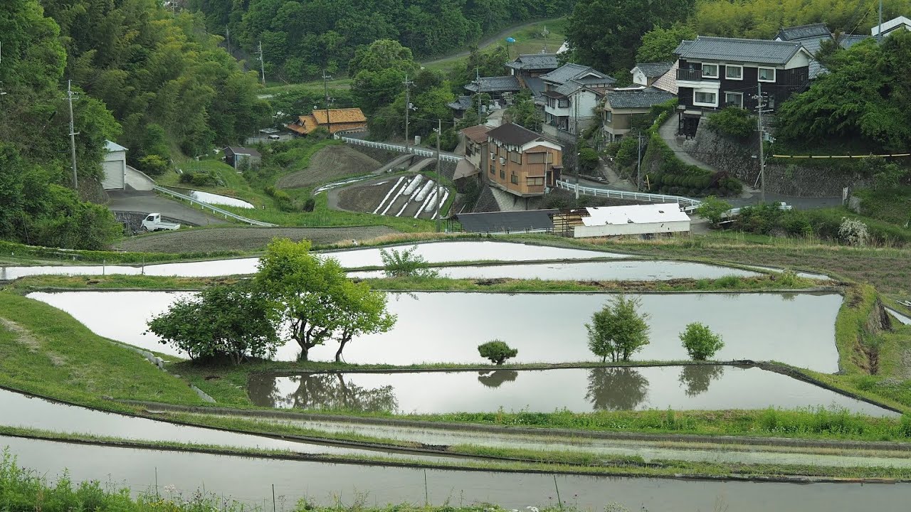 大阪茨木市の棚田集落・長谷【田舎散歩・限界集落の風景】Ibaraki City  Nagatani, Osaka,  Japanese Village