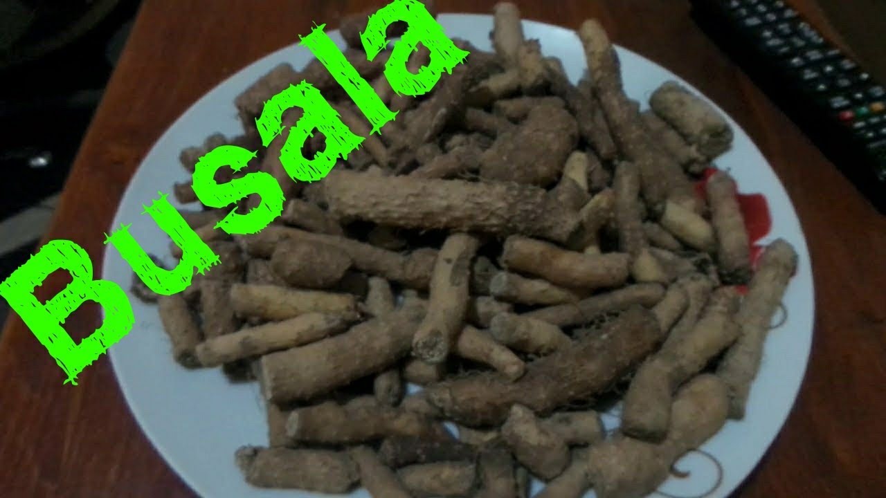 BUSALA || A Tonga delicacy || Culture. Food. Zambia.