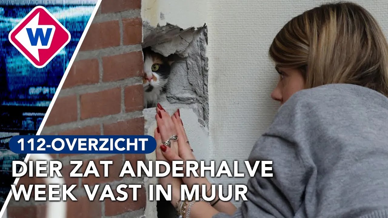 Brandweer urenlang bezig met reddingsactie van kat | 112-overzicht