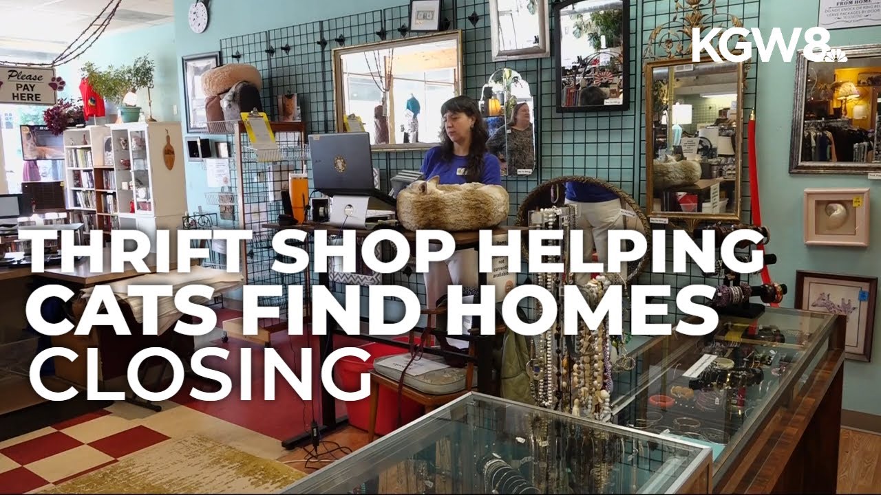 Cat Adoption Team prepares to close Portland thrift store