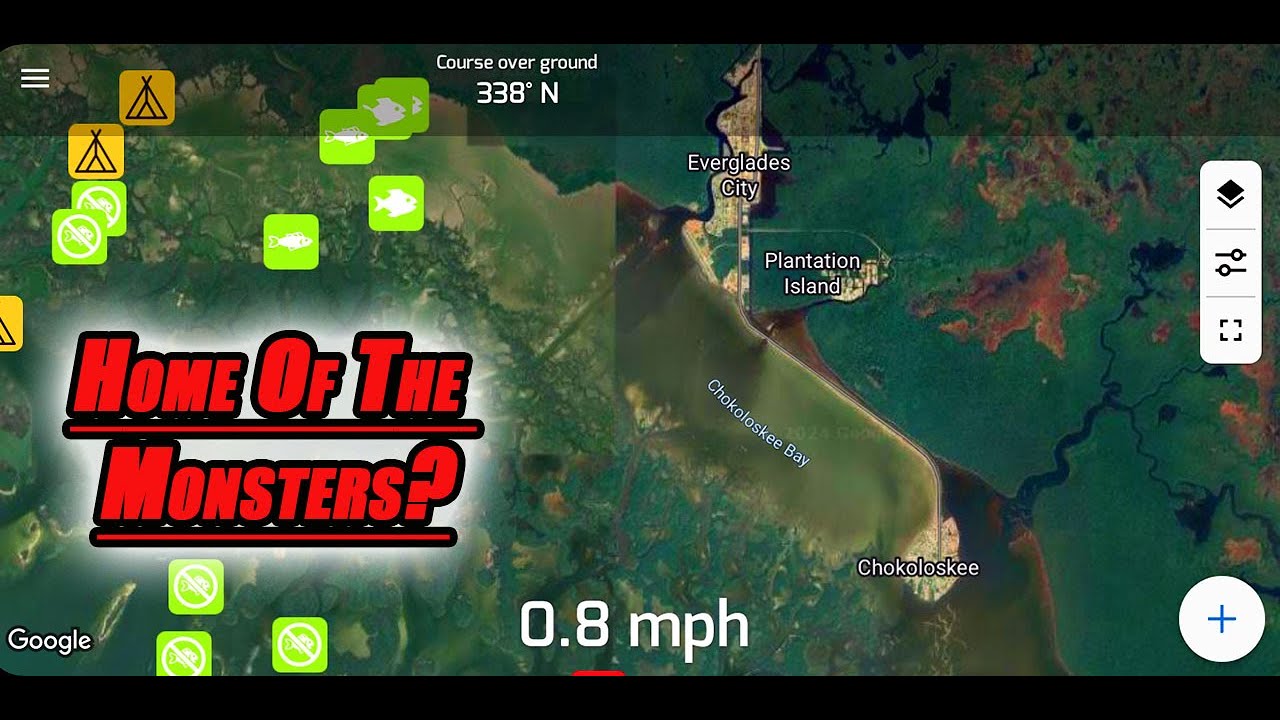 Searching For Monster Fish In 10,000 Islands/ Chokoloskee. Snook, Redfish and Trout Everywhere!