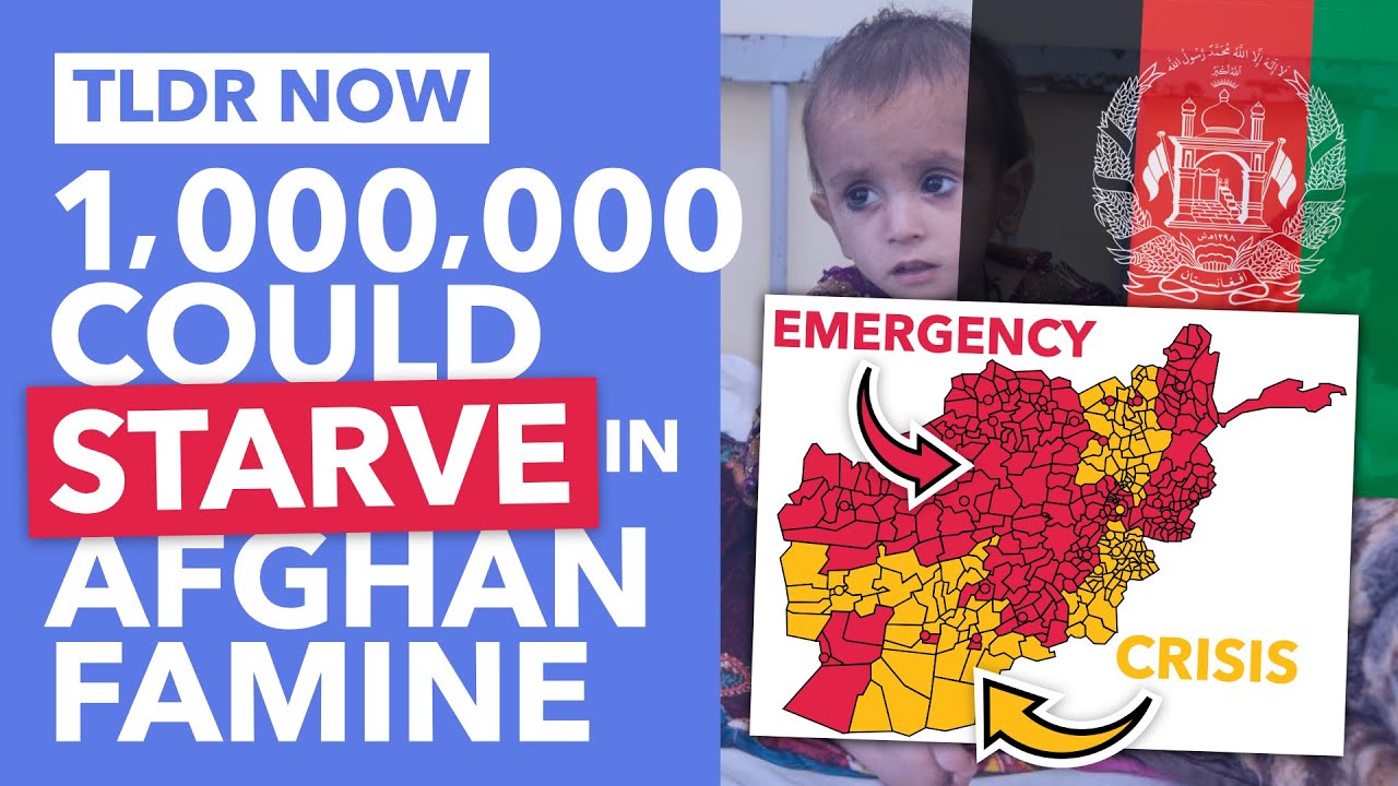 Afghanistan's Famine: How should the West Help? - TLDR News