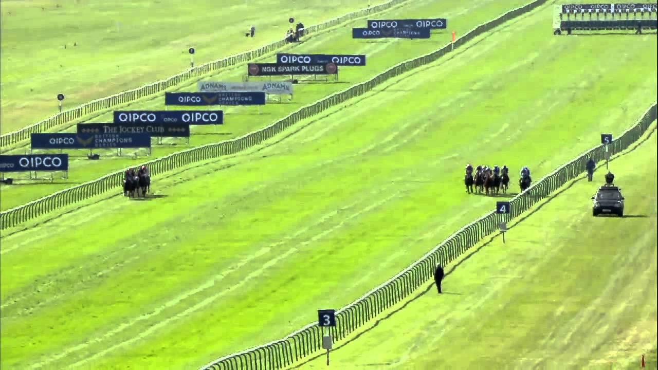 NIGHT OF THUNDER  wins a vintage renewal of the QIPCO 2000 Guineas Stakes (2014)  - Racing TV