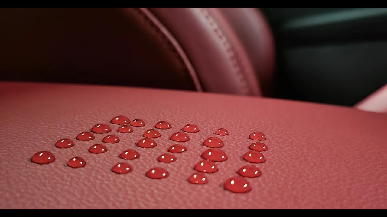 LEATHER PROTECTION: Adam's Ceramic coating #ceramiccoating #cardetailing #relaxingvoice