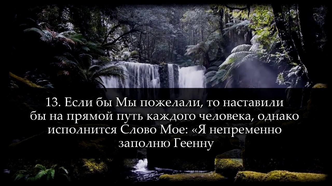 Саид Дубаха. Сура 