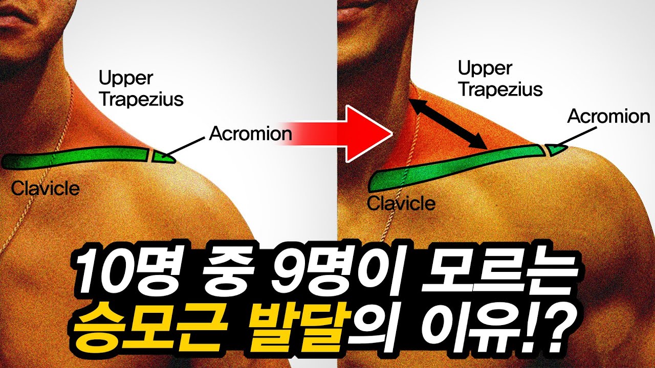 99%가 잘못알고 있는 '넓은 상체프레임'을 만드는 가장 빠른 방법!?