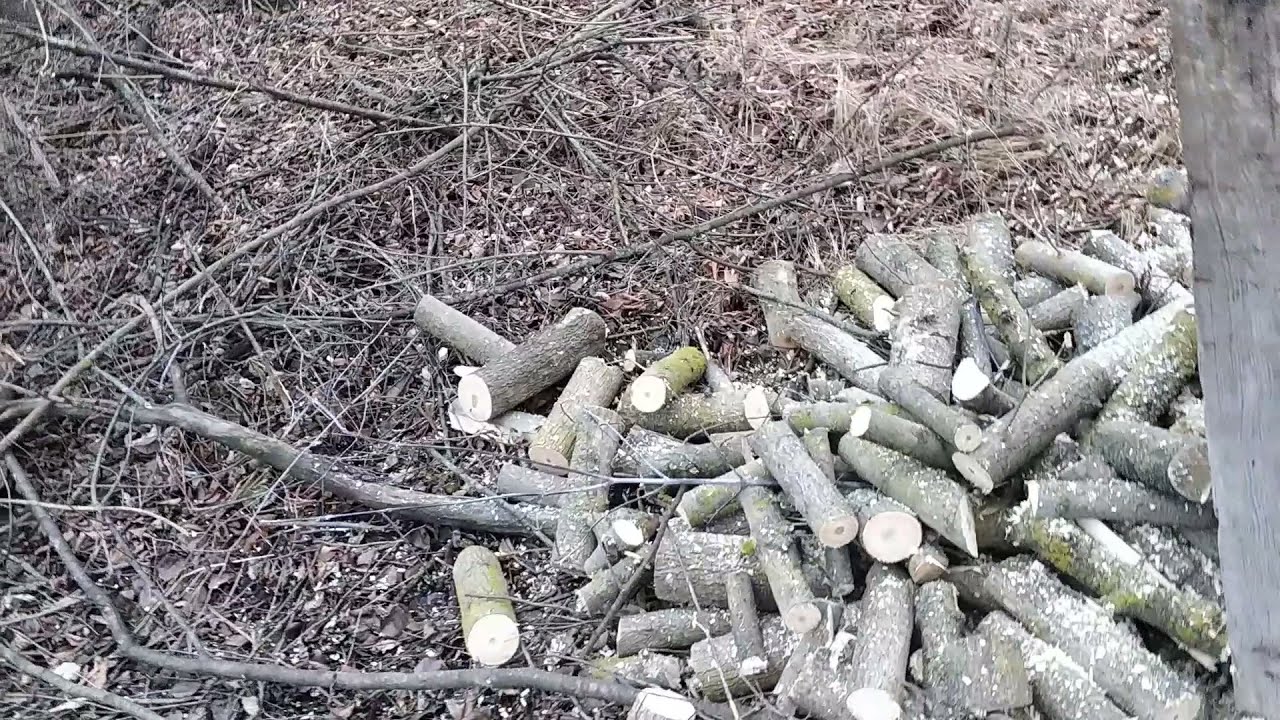 СУПЕР КОЗЁЛ !!!!!БОЛЬШЕ ТРАТИШЬ ВРЕМЯ НА УБОРКУ ДРОВ  Распиловочный #козлик в реальном времени
