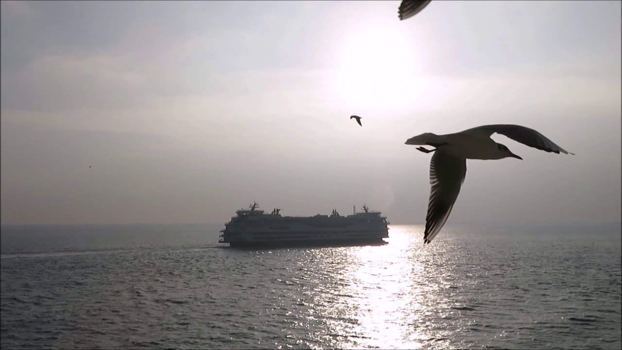 Heerlijk  Texel 2020