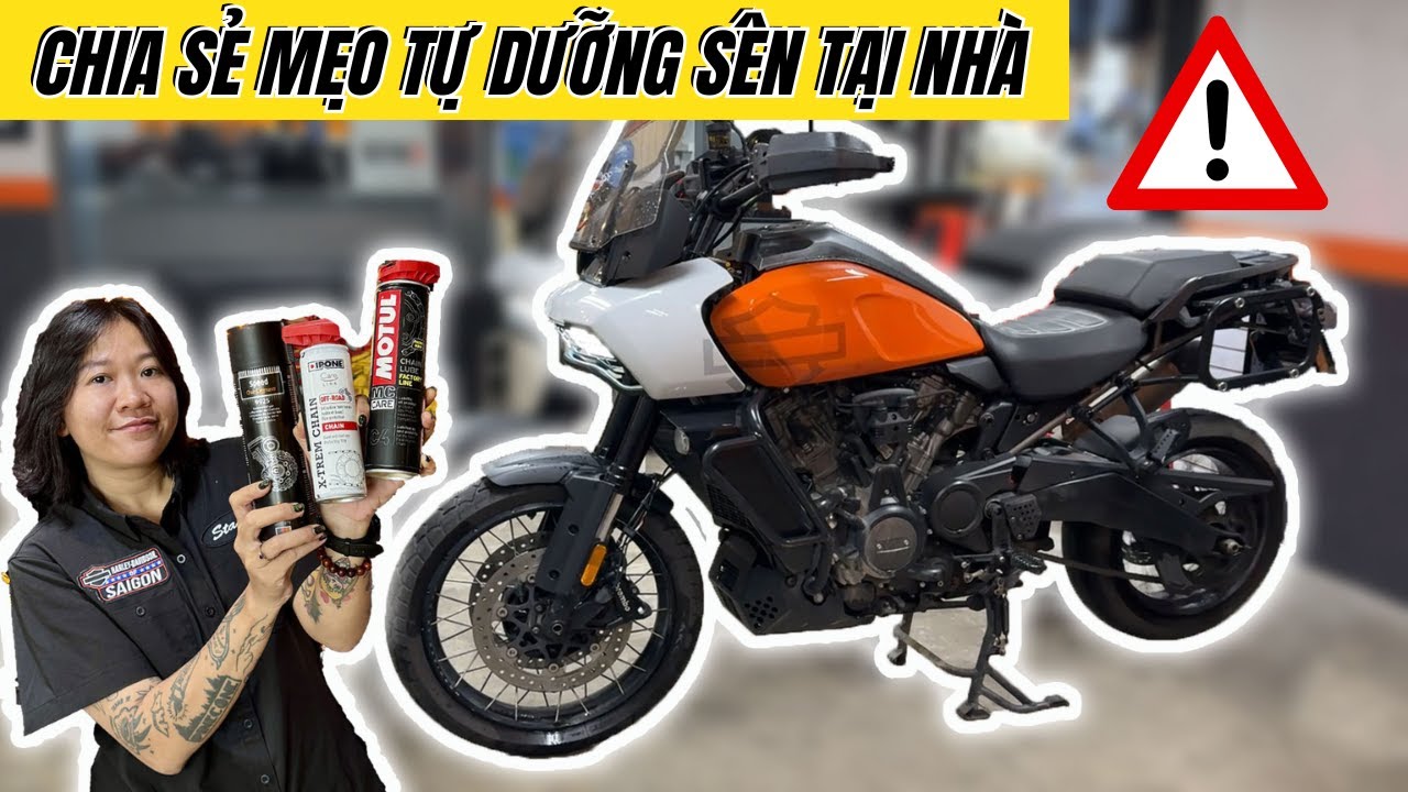 CHIA SẺ MẸO TỰ DƯỠNG SÊN TẠI NHÀ DÀNH CHO NGƯỜI MỚI BẮT ĐẦU !!