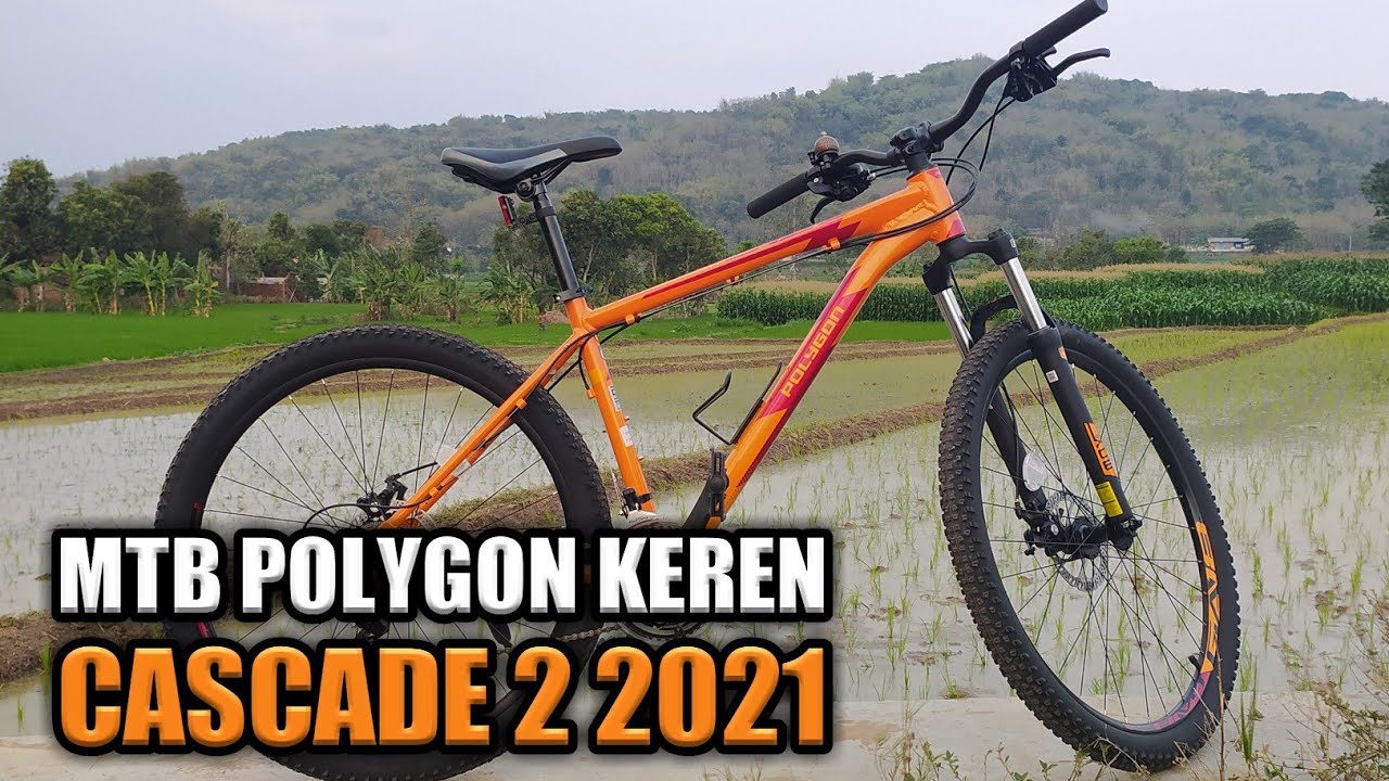 POLYGON CASCADE 2 2020/2021