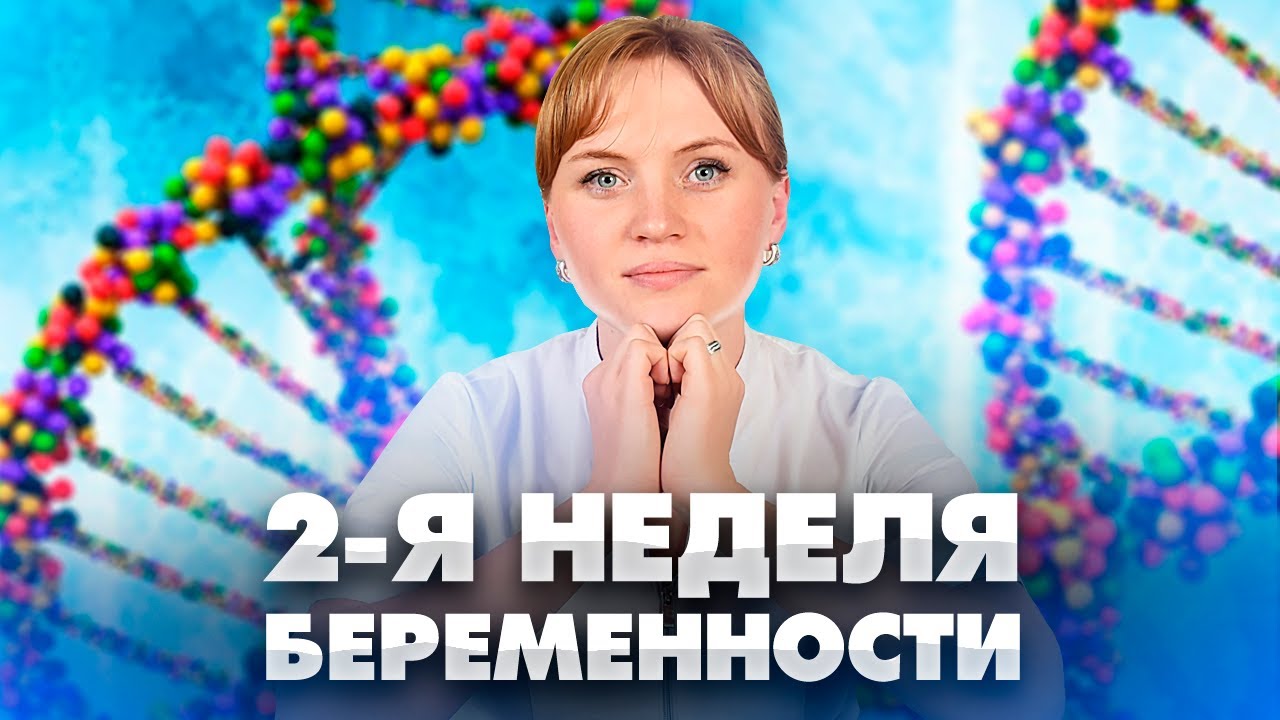 2 недели беременности. Как протекают? Как правильно наблюдать? Рекомендации акушер-гинеколога.