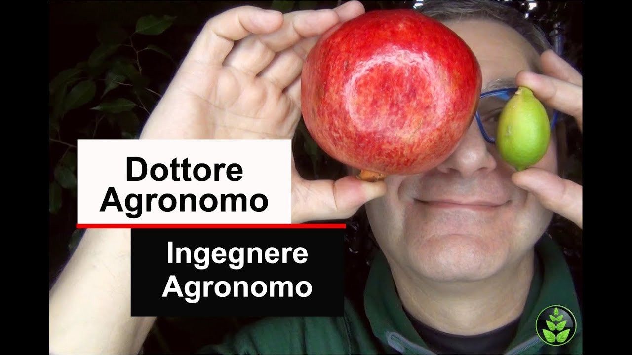 Dottore Agronomo o Ingegnere Agronomo?