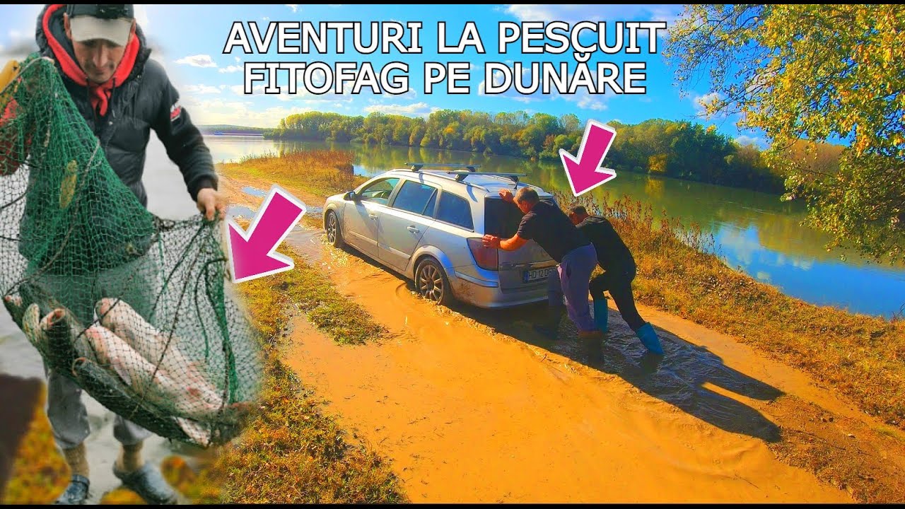 PERIPEȚII La Pescuit FITOFAG, MORUNAȘ RECORD Personal si CRAP pe Dunare in 2 LOCAȚII NOI