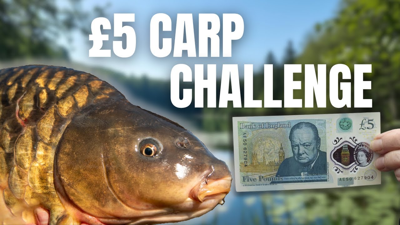 CARP FISHING WITH A TINY BUDGET!
