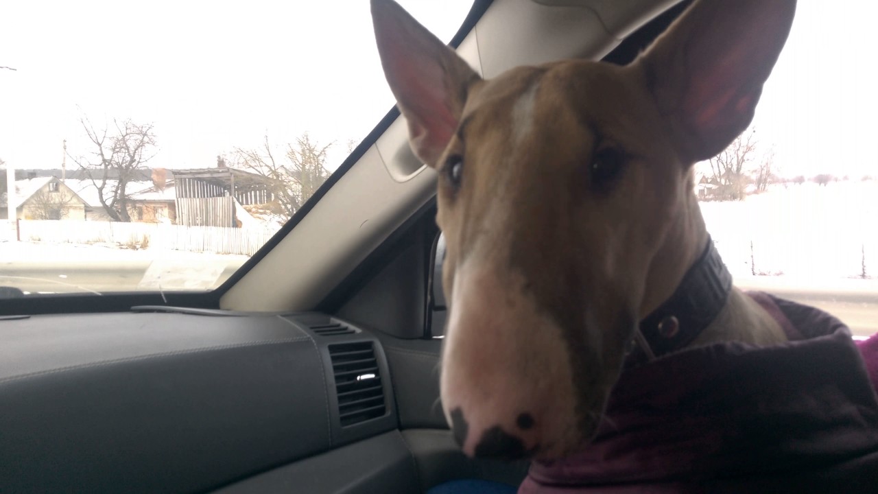 Редкий минивен Peugeot-1007