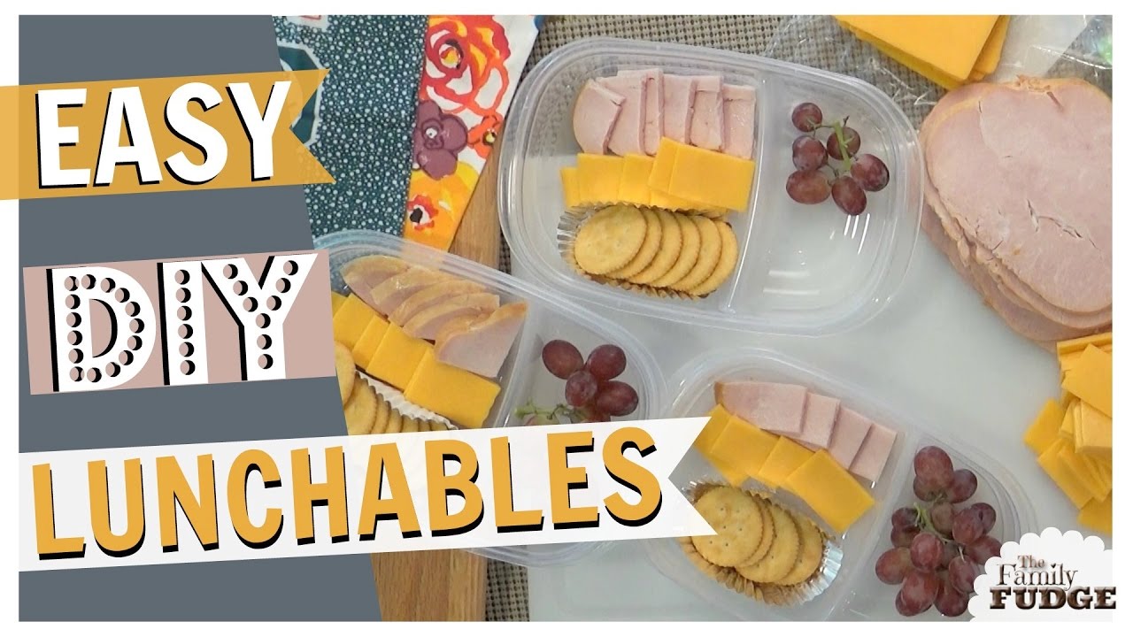 DIY Lunchables || REAL Food for Traveling || TheFamilyFudge