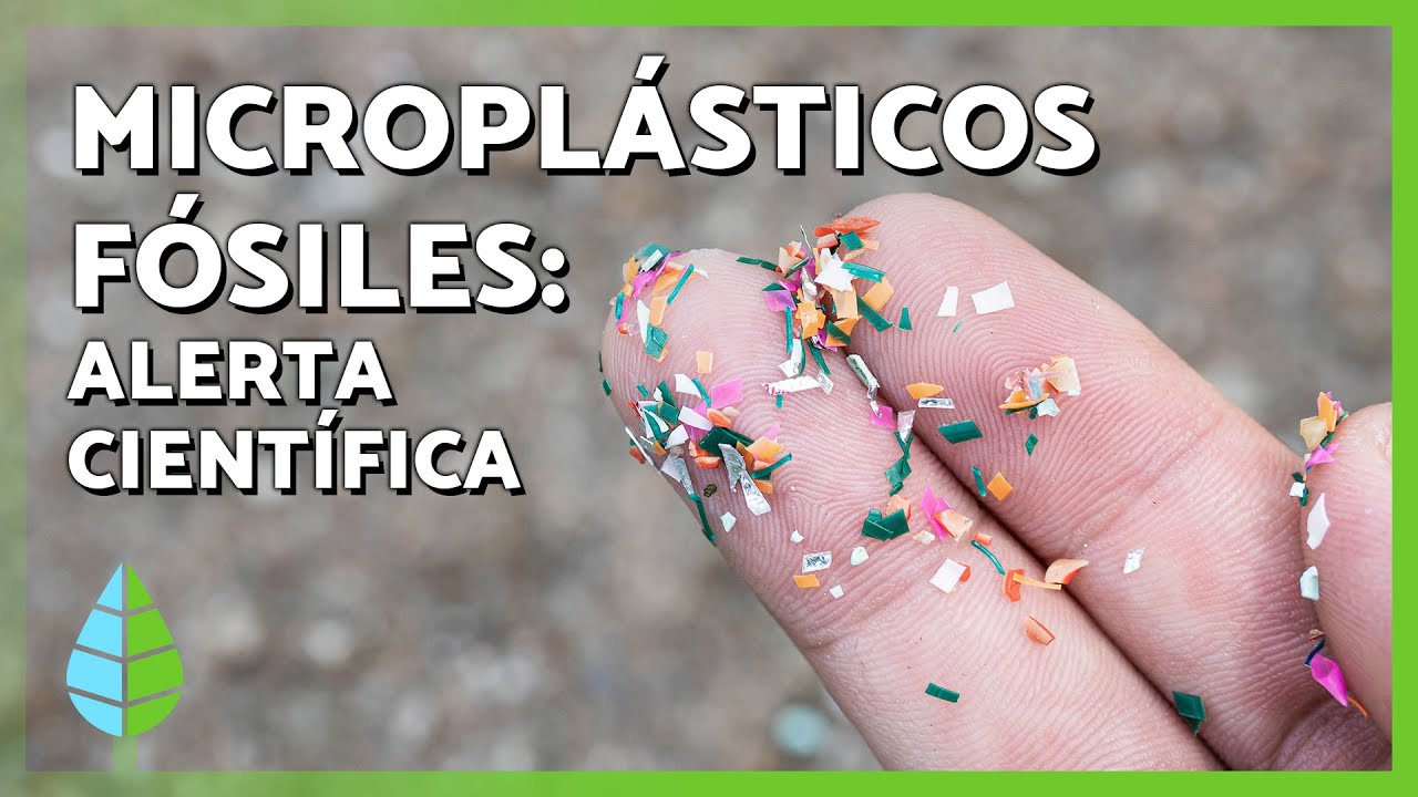 MICROPLÁSTICOS ⚠️ Los plásticos fósiles provocan un efecto dominó invisible en ríos y lagos