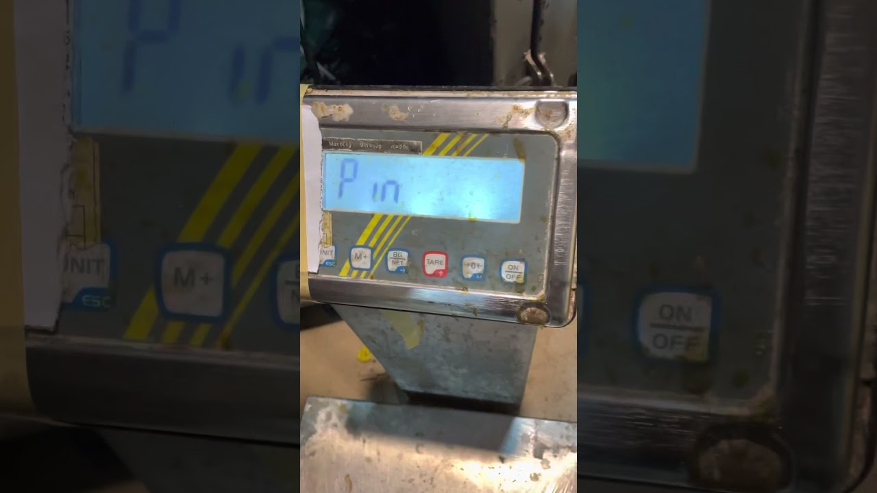 Kern scale calibration 60kg