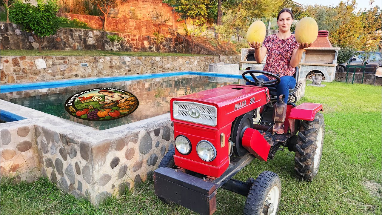 Vjelja e Pjeprit – Farm Life & Fresh Veggies in Albania