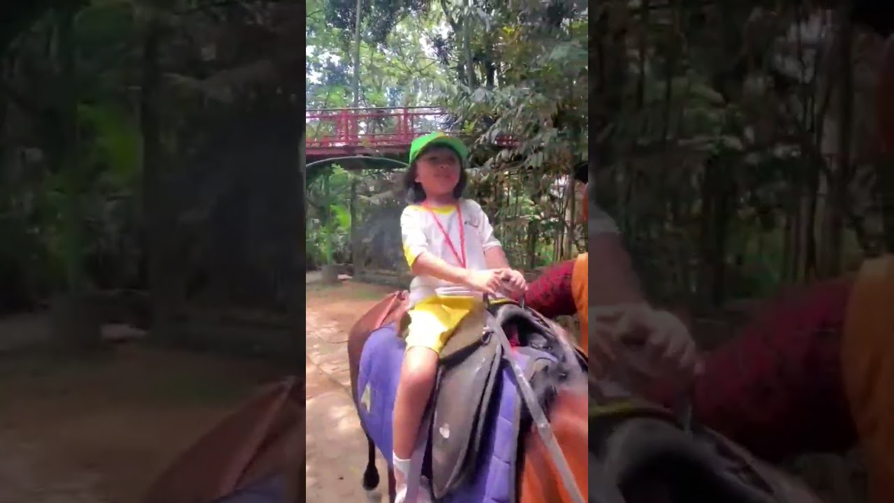 Naik Kuda Kok Mundur 😁😂 #shorts #naikkuda #horse #kuda #funny #lucu