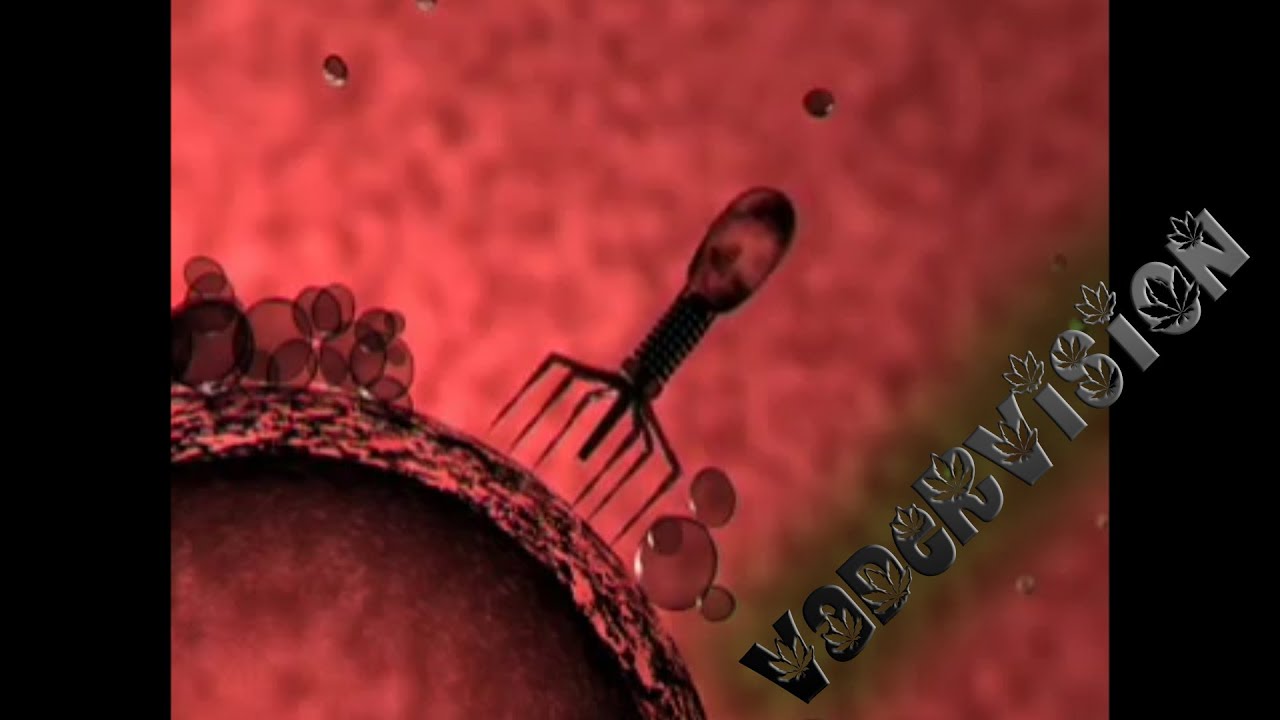 VaderVision - Tobacco Mosaic Virus and Cannabis