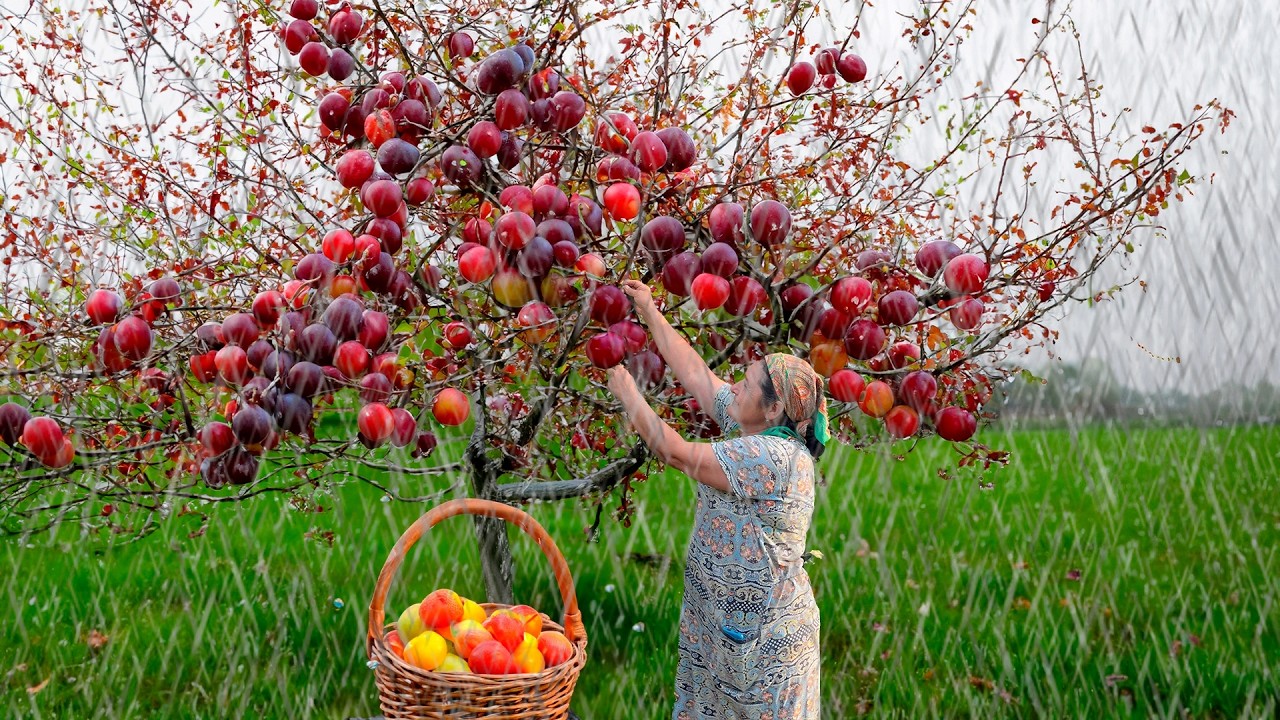 Don't let the rain ruin your harvest!