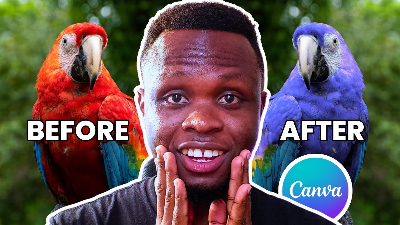 Как ИЗМЕНИТЬ любой цвет на фотографиях в Canva — Учебное пособие по Canva для начинающих