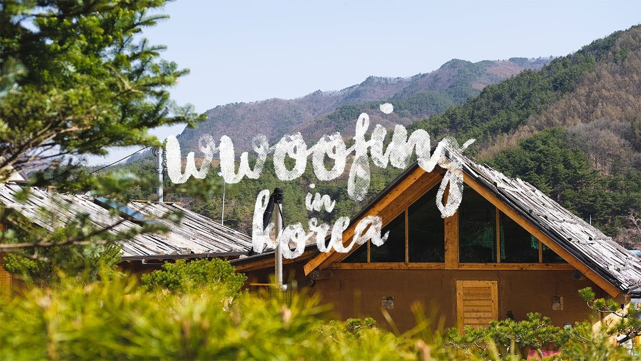 WWOOFing in Korea | First Farmstay Experience
