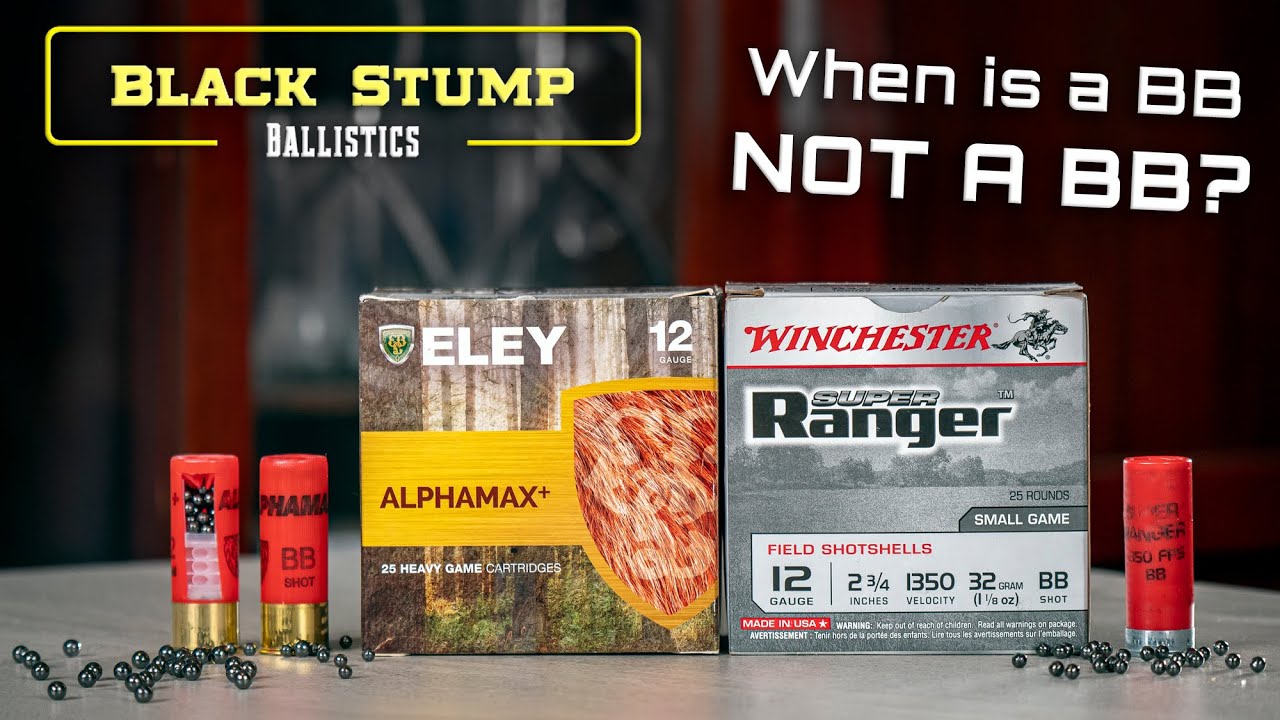 When is a BB not a BB? 12Ga shot shell basics