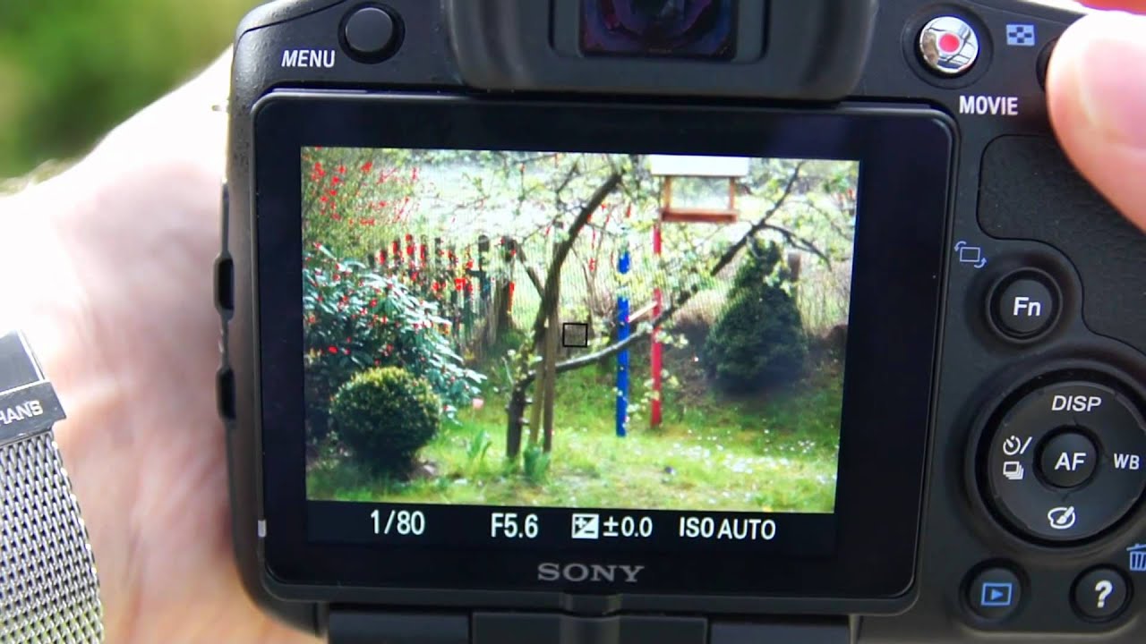 Sony A65-Informationen