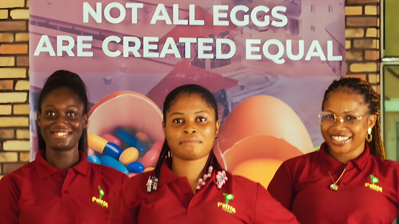 Вот чем отличается эта нигерийская птицеферма (часть 2 из 2) #птицеводство #нигерия