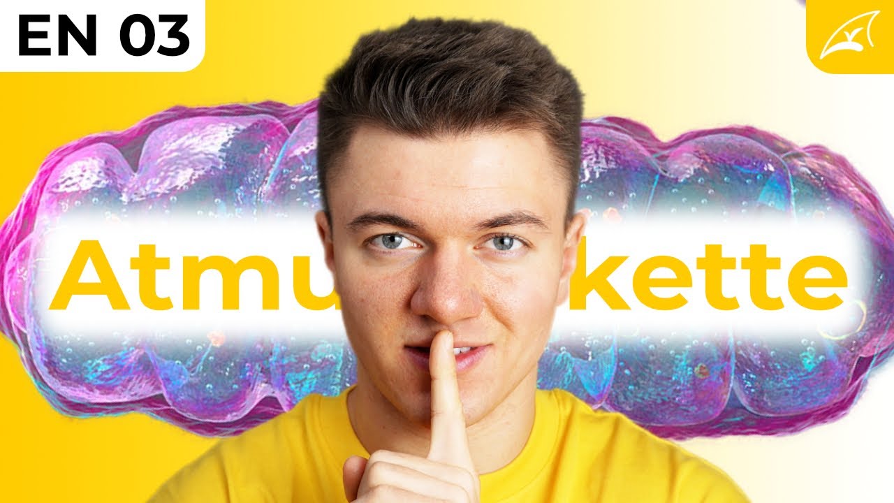 Atmungskette und ATP Synthase - einfach erklärt! // The ONLY Video you'll need ...