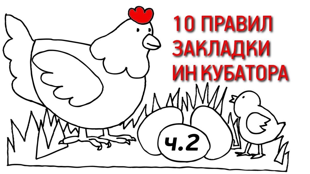 10 ПРАВИЛ ЗАКЛАДКИ ИНКУБАТОРА. 